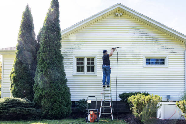 Best Exterior Home Cleaning  in Waggaman, LA